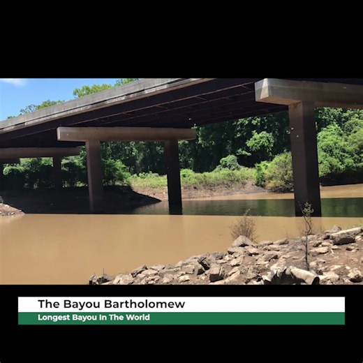 The Bayou Bartholomew Well now… if you hand me a chipped coffee cup and a minute to breathe, I’ll tell you about a waterway that don’t just run—it remembers. Bayou Bartholomew, longest bayou in the world, slips out of the pine uplands above Pine Bluff like a shy guest leaving a church supper, then lingers and loops and eavesdrops its way through Jefferson, Lincoln, Drew, Desha, Chicot, and Ashley before easing into Louisiana and finally giving itself back to the Ouachita near Sterlington. Folks