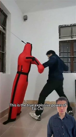 This is the true explosive power of Tai Chi #kungfu #taichi