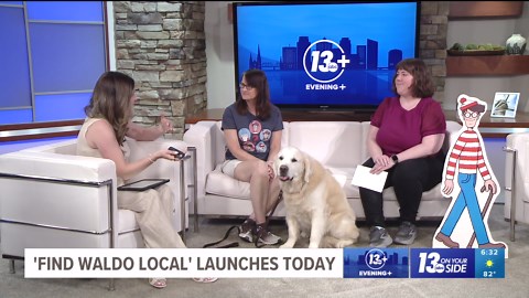 'Find Waldo Local' | Shop local event launches Tuesday