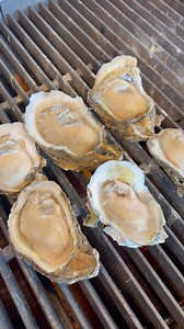 Chargrilled Oysters! 🔥🍽️ Served fresh off the grill, these succulent treasures are bursting with flavor and served with a touch of perfection. 🤩 Come see for yourself! TODAY’S HOURS 11: 00 am - 9:30 pm ORDER TO-GO (850)677-8899 #redfishbluefish #RFBF #RFBFpensacolabeach #seafoodrestaurant #bestbackyard #experiencepcola @visitpensacola @visitpensacolabeach @localpulsepensacola @pensacolabeachchamber | Red Fish Blue Fish Pensacola Beach