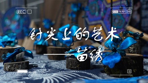 “针尖上的艺术：探秘苗绣的传统与魅力”