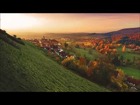 Morning Sounds | Free Sounds Effects | Ambient Sounds