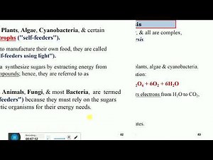 General Biology freshman chapter 4 cellular metabolism lesson 3 Amharic episode