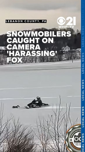 Snowmobile speedster illegally chases, runs over fox in Lebanon County: officials READ MORE: https://bit.ly/3PQq6VK #snow #snowmobile #snowmobiler #chase #fox #animal #game #gamecommission #pa #pennsylvania #news #localnews | Local 21 CBS News, WHP Harrisburg