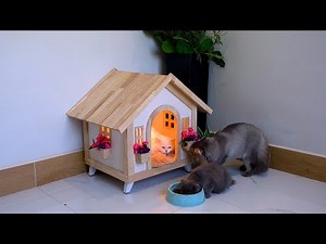 I BUILT A $20,000 DREAM CAT HOUSE!!