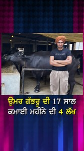 ਉਮਰ ਗੱਭਰੂ ਦੀ 17 ਸਾਲ, ਕਮਾਈ ਮਹੀਨੇ ਦੀ 4 ਲੱਖ Full Video on YouTube/@DiscoveredByLens #shorts #shortvideo #DBLShort #shortsvideo #short #DBLShortVideo #DiscoveredByLens #youngdairyfarmer #punjab #youth #dairyfarming #dairyfarmer #sohalpreet #milkproduction #buffalo #buffalodairyfarm #buffalodairy #DBLVideos #DBLChannel | Discovered By Lens