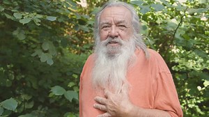 Es war eine richtige Freude für mich, diese Salbeiart hier in einer Schlucht, nicht weit von unserem Haus, zu entdecken. Zuerst faszinieren die großen, drei bis vier Zentimeter langen, hellgelben, zygomorphen Blüten, die man im tiefschattigen Wald kaum erwartet. Wenn man genau hinschaut, sind die gelben Blüten mit kleinen, rotbraunen Pünktchen besprenkelt. Diese Blüten haben – wie es sich für Salbeiarten gehört – einen weit aufgerissenen Rachen. Die lichtgelben Lippenblüten des Klebrigen Salbeis