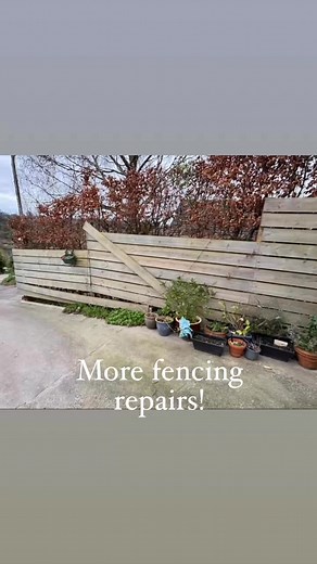 Repairing one storm-damaged fence and stabilising another wobbly one....