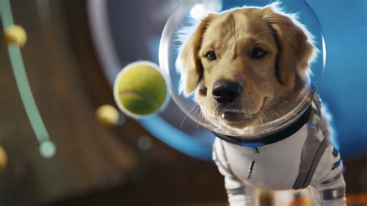 OpenAI's Sora app lets friends swap AI video cameos