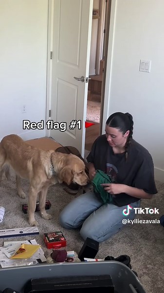 Cleaning Distractions: A Lighthearted Look at Focus