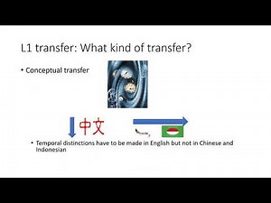 First language transfer - Conceptual transfer