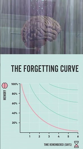 Ebbinghaus’s Memory Experiments: 24 HOURS AFTER LEARNING SOMETHING, WE FORGET TWO-THIRDS OF IT