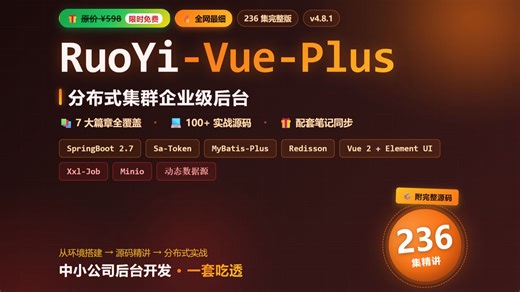 【原价 598 现免费】RuoYi-Vue-Plus 4.8 全栈实战 236 集｜Sa-Token MyBatis-Plus 分布式集群（二）