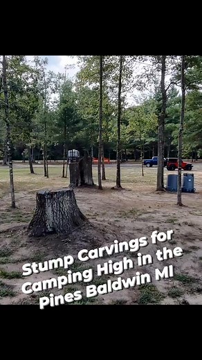 Mushroom stump carvings for Camping High in the Pines in Baldwin Michigan prior to this weekend's music festival. #husqvarna #chainsawcarver #woodworking #loghomeliving #artsandcrafts #fblifestyle #falldecor #camping #chainsawcarving #chainsawart #campinghighinthepines #BaldwinMichigan #morels #mushrooms #woodcarving | Rustic Designs and Carvings
