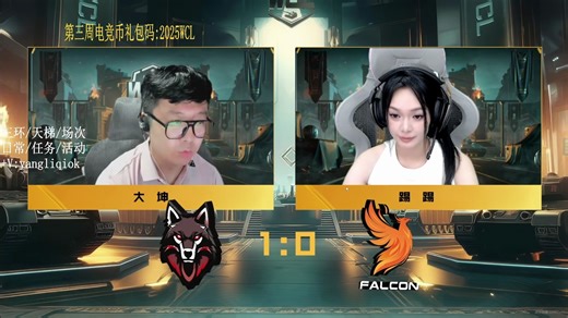 【比赛圈的那些事】蝼蚁王国服最强调度 AlphaAsh VS FALCON  3:6 YLQ观赛