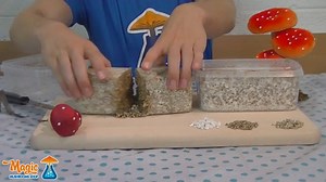 100% VS Standard Magic Mushroom Grow Kit