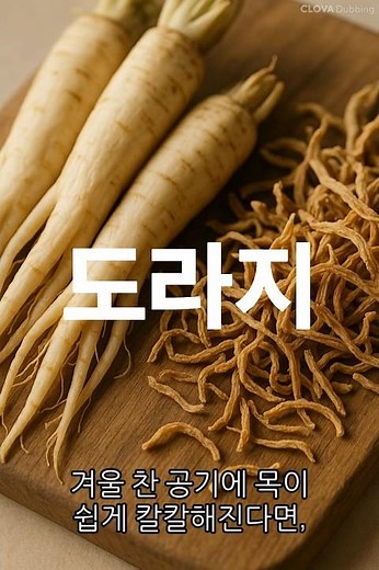 도라지 #도라지 #도라지차 #도라지효능