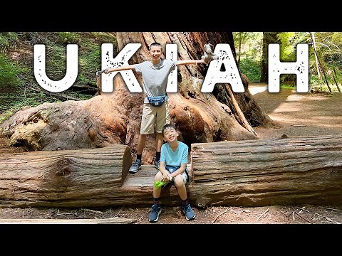 Things To Do in Ukiah, California | Mendocino County Road Trip