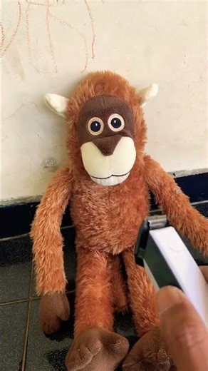 cute baby monkey hair trimmer