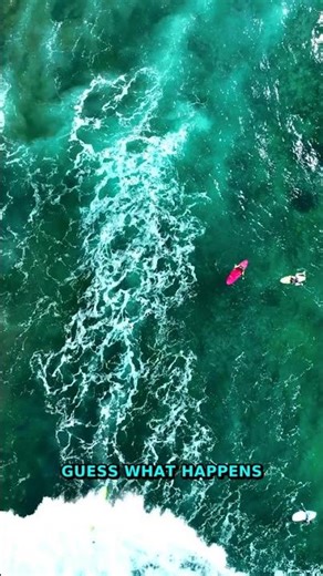 Tiny Ecosystems | Mind-Blowing Macro Nature Facts