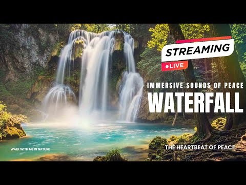 Zen Waterfall Meditation – Relaxing Sounds for Inner Peace & Stress Relief Nature's Harmony