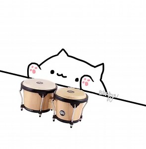 The original bongo cat video that started it all. | Bongo Cat :3