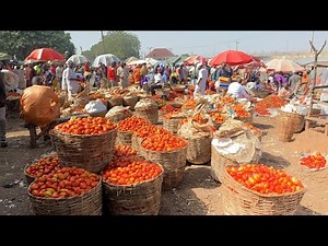 A Day in a Typical African Village Market