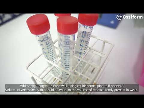 Evaluation of cell viability ― Using CellTiter-Glo 3D Cell Viability Assay and P3D Scaffolds