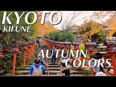 Guide to KIFUNE Shrine's Autumn Magic: MAPLE TREE TUNNEL and Serene Beauty - KYOTO, Japan
