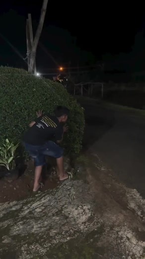 LIVE Incentive Program & LIVEFEST 2026 | Make LIVE Count