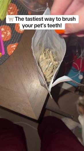 King Lou Minnows: Natural Toothbrush Treats for Pets