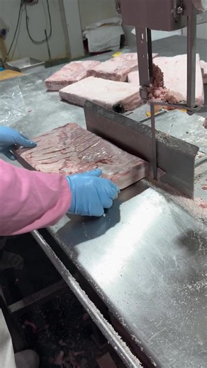 Large Commercial Stainless Steel Bone Cutter for Meat