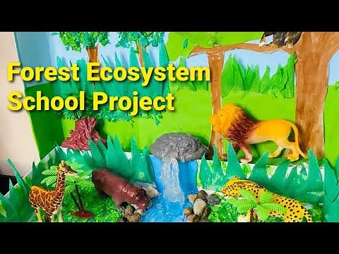 Forest Ecosystem | Craft work | School \nproject