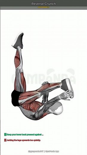 Reverse Crunch - Perfect Form Guide #shorts