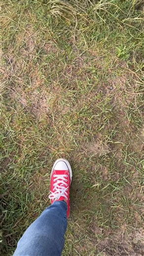 291 reactions · 9 comments | Your daily dose of Cannon Beach, Oregon therapy from Cannon Beach, Haystack Rock & Ecola Park. Salty Raven stores are open 11-5 everyday. Cannon Beach * Tillamook * Astoria Saltyraven.net #ecola #haystack #haystackrock #cannonbeach #cannonbeachoregon #pnwonderland #pnw #oregon #oregoncoast #oregonartist #natureartist #bestoforegon #bestoforegoncoast #saltyraven #saltyravenastoria #saltyravencannonbeach | Salty Raven Cannon Beach | Facebook