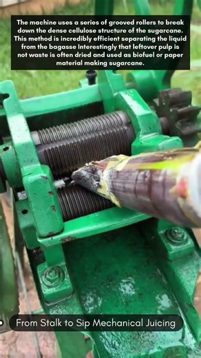 From Stalk to Sip Mechanical Juicing