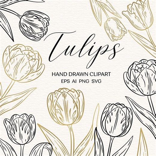 Tulip Flowers Line Art Clipart Printable SVG Files Graphic Illustration Fine Line Outline Elements SVG PNG Vector Clipart Delicate Tulips - Etsy