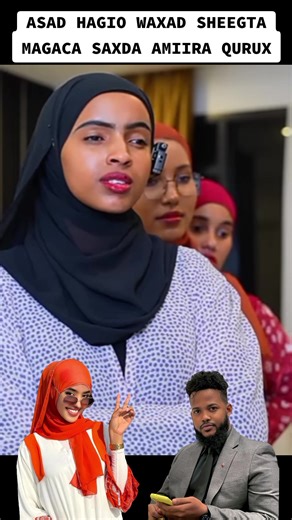 MANGO VIP STUDIO على TikTok