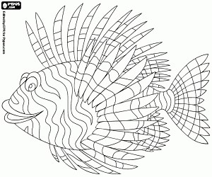 The lionfish coloring page printable game