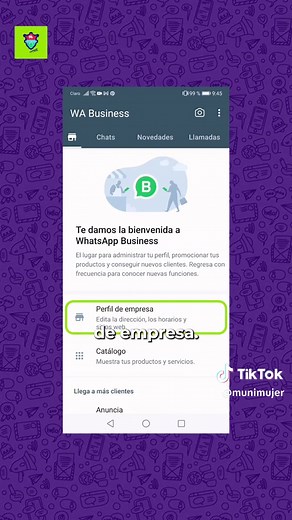 Cómo Crear un Catálogo en WhatsApp Business: Consejos para Emprendedores