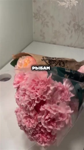 Как понравиться Рыбам #астрология #знакизодиака #зодиак #рыбы #astrologytiktok