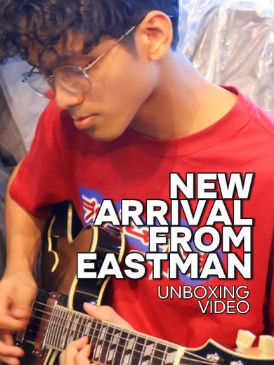 Eastman T486 Guitar: Perfect Blend of Warmth and Clarity
