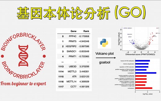 【生信进阶之路｜技能篇07】如何用 python 画火山图并进行基因本体论分析（Gene Ontology Analysis)
