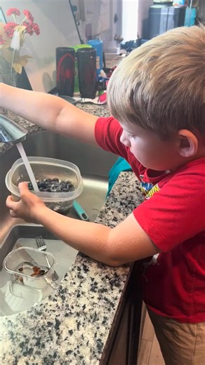 Blueberry boy | Adventure with Joe