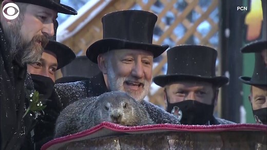 13K views · 334 reactions | GROUNDHOG DAY: Pennsylvania's most famous groundhog emerged from his burrow on a snowy Tuesday morning and saw his shadow, declaring there would be six more weeks of winter. https://cbsn.ws/3rbB5ur | CBS Evening News | Facebook