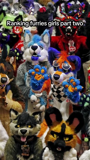 Furry girls #fyp #foryoupage #viral #furry #rank