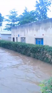 2.6K views · 31 reactions | Floods in Lundazi | Daily Nation Zambia | Facebook
