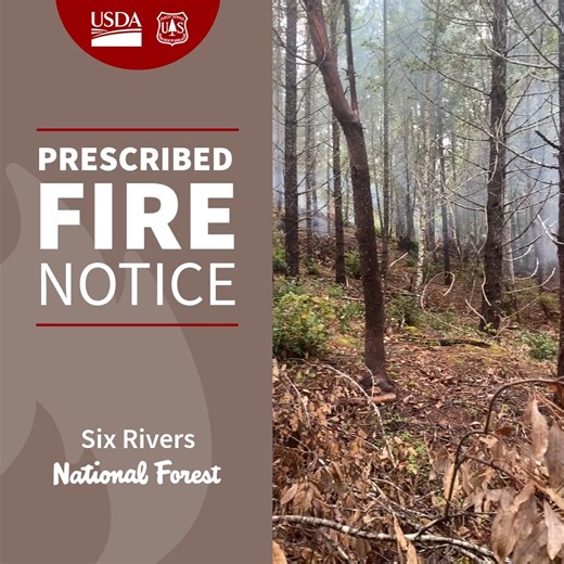 The Six Rivers National Forest is planning to conduct prescribed fire operations throughout the week, conditions permitting. Today, 12/1, two districts will begin pile burning operations. 📍The Orleans Ranger District will conduct pile burning operations in Humboldt County within the Orleans Community Fuels Reduction and Forest Health Project. 📍The Lower Trinity Ranger District will conduct pile burning operations in Humboldt County within the Plantation Thin Project located along the 5N20/5N33