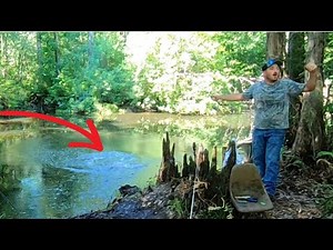Fishing For a GIANT River MONSTER Using Small BAIT {Catch Clean Cook} MUD-FISH!!