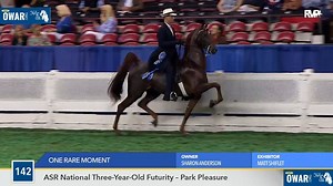 WCHS18 Class 142 - One Rare Moment